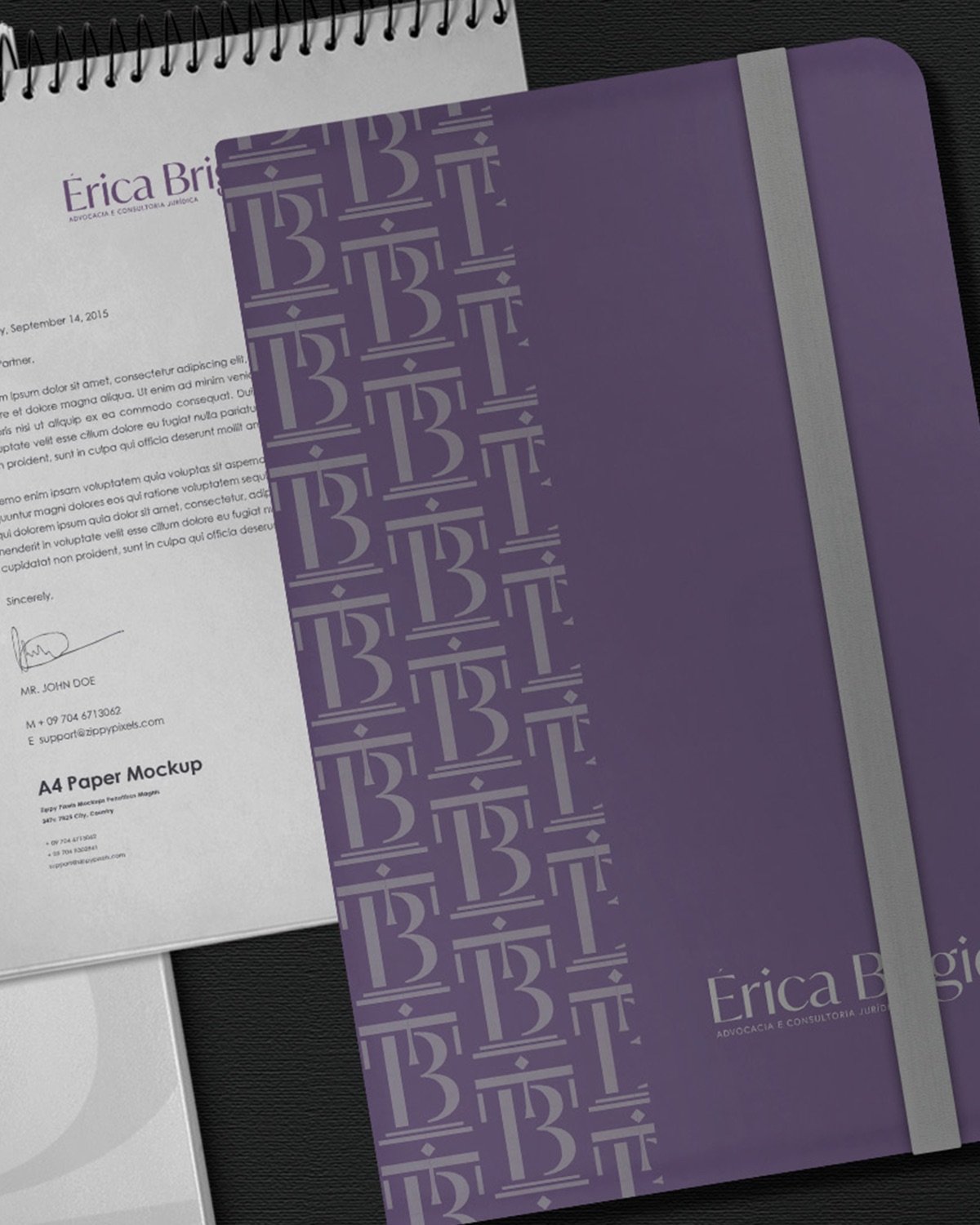 Erica Brígida — image 01